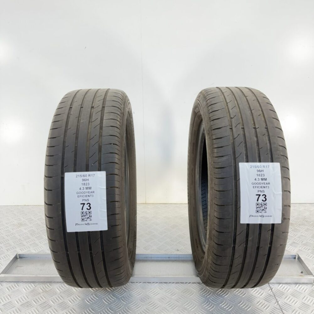 Gomme Usate 215 60 R17 96H Goodyear Efficient3 Estive | Gomme Usate | PrimaGomme.it Gomme Usate 215 60 R17 96H Goodyear Efficient3 Estive